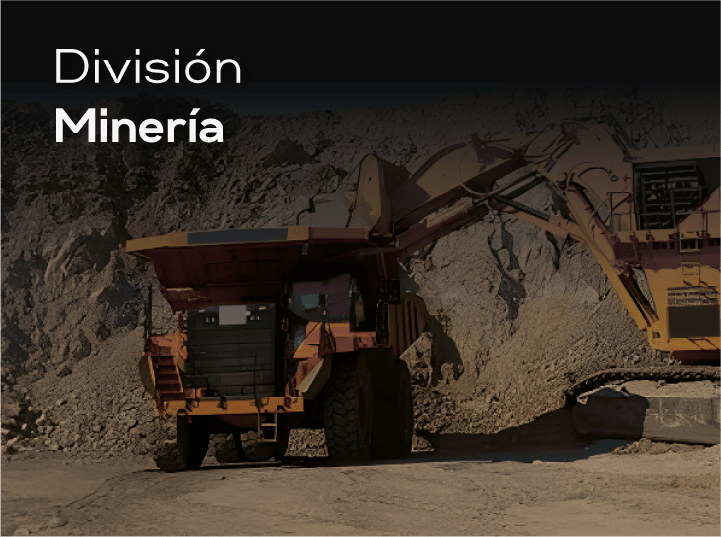 Slide 7 - Gestion de flota especializada